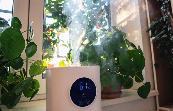 بخور سرد برای چی خوبه؟ معرفی 5 دستگاه بخور جذاب و کاربردی بخور سرد برای چی خوبه؟